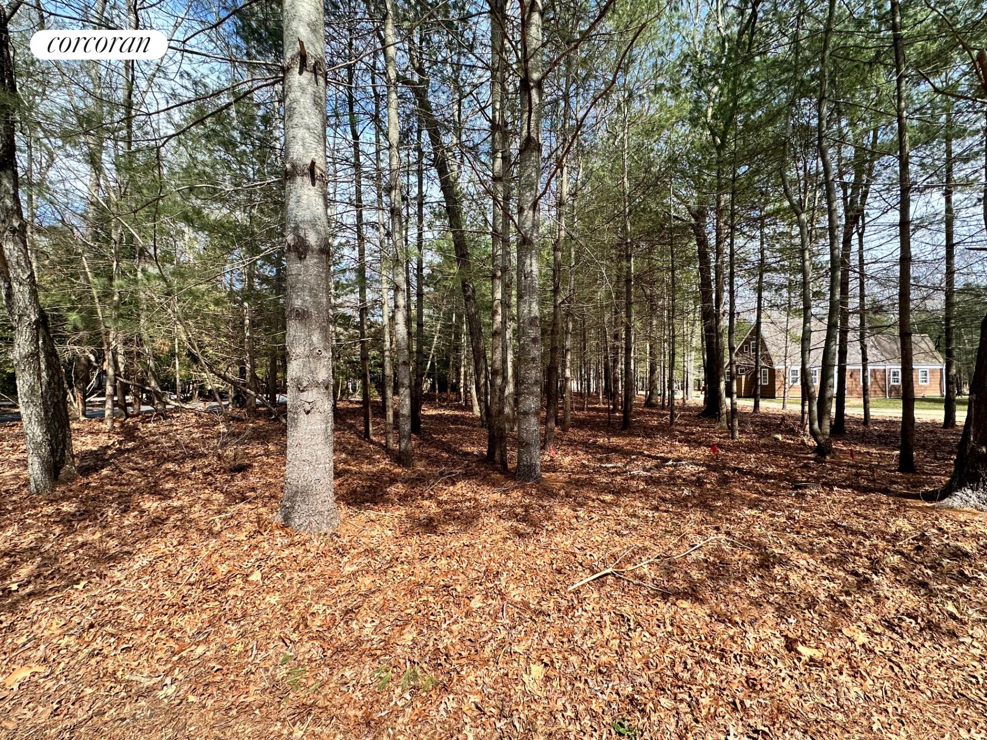 Homes for sale in East Hampton | View 12 Sycamore Drive