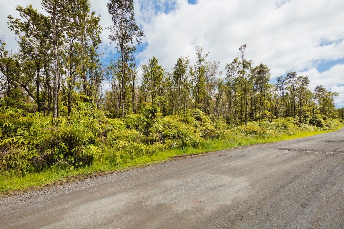 Homes for sale in Volcano | View 24-Lot MAKOA RD