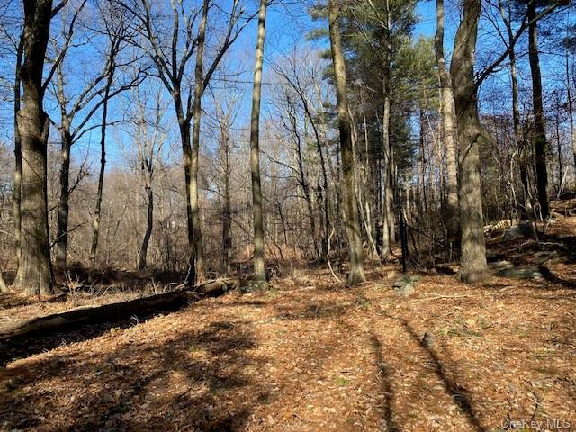Homes for sale in Bedford | View Old Logging Road