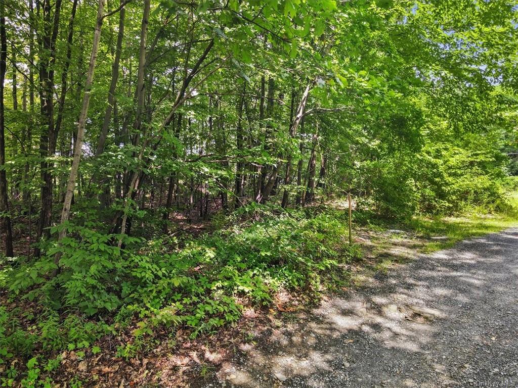 Homes for sale in Rhinebeck | View Beckrick Drive