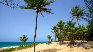 Homes for sale in Loiza | View Km 16 Beachfront Lot Route 187