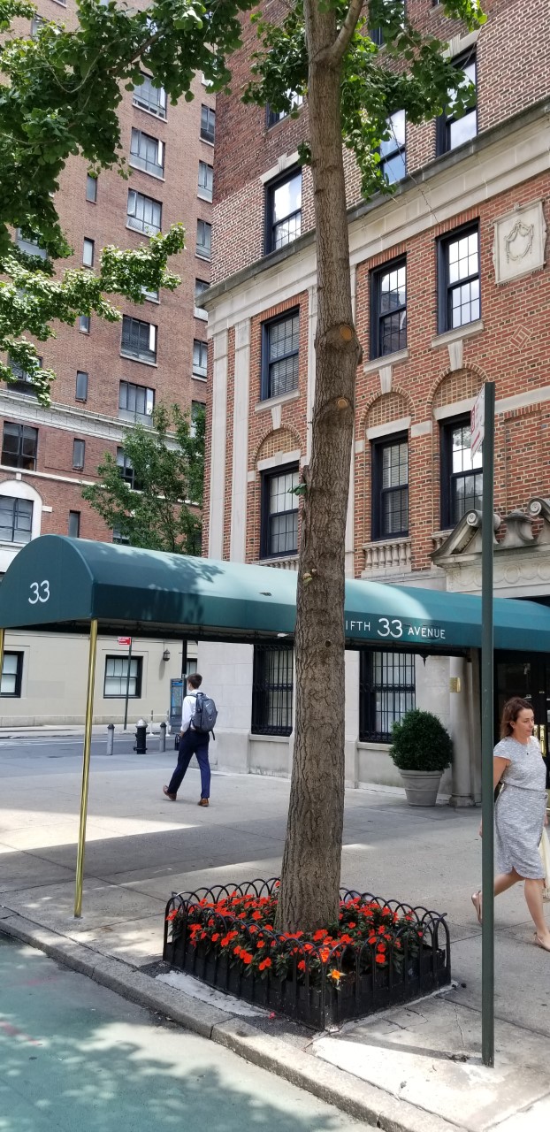 33 Fifth Avenue