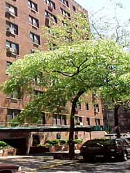 241 East 76th Street