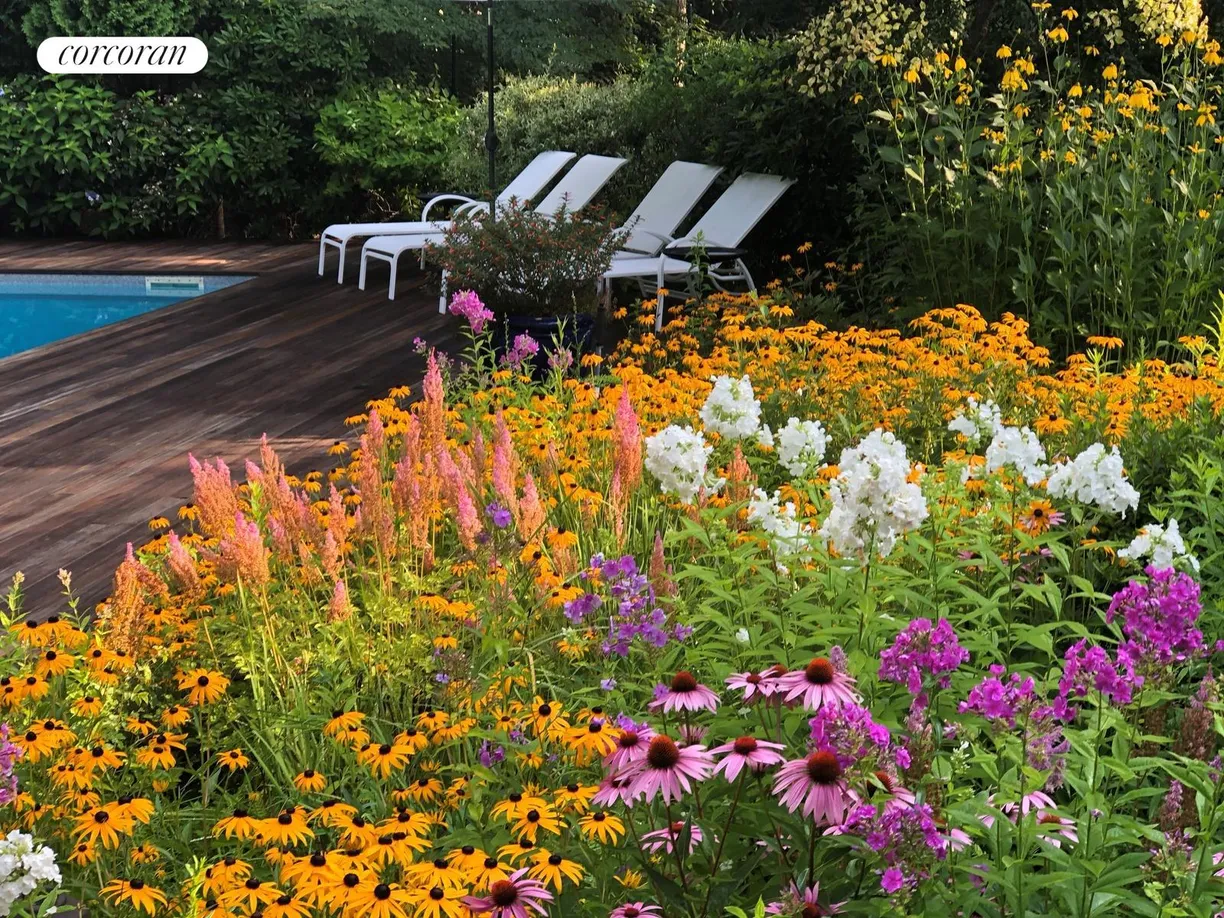 The Hamptons Real Estate | View 123 Wilderness Trail | room 1