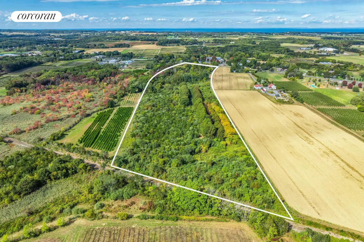 The Hamptons Real Estate | View 1117 Main Road | 1117 Main Road - Back of Property