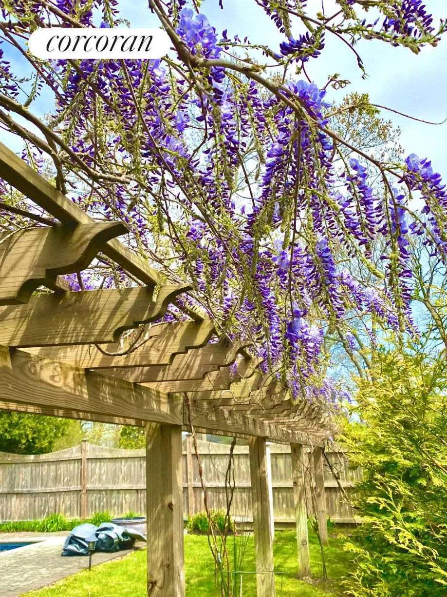 The Hamptons Real Estate | View 3 Crestview Drive | Wisteria Pergola (no permit) | View 16