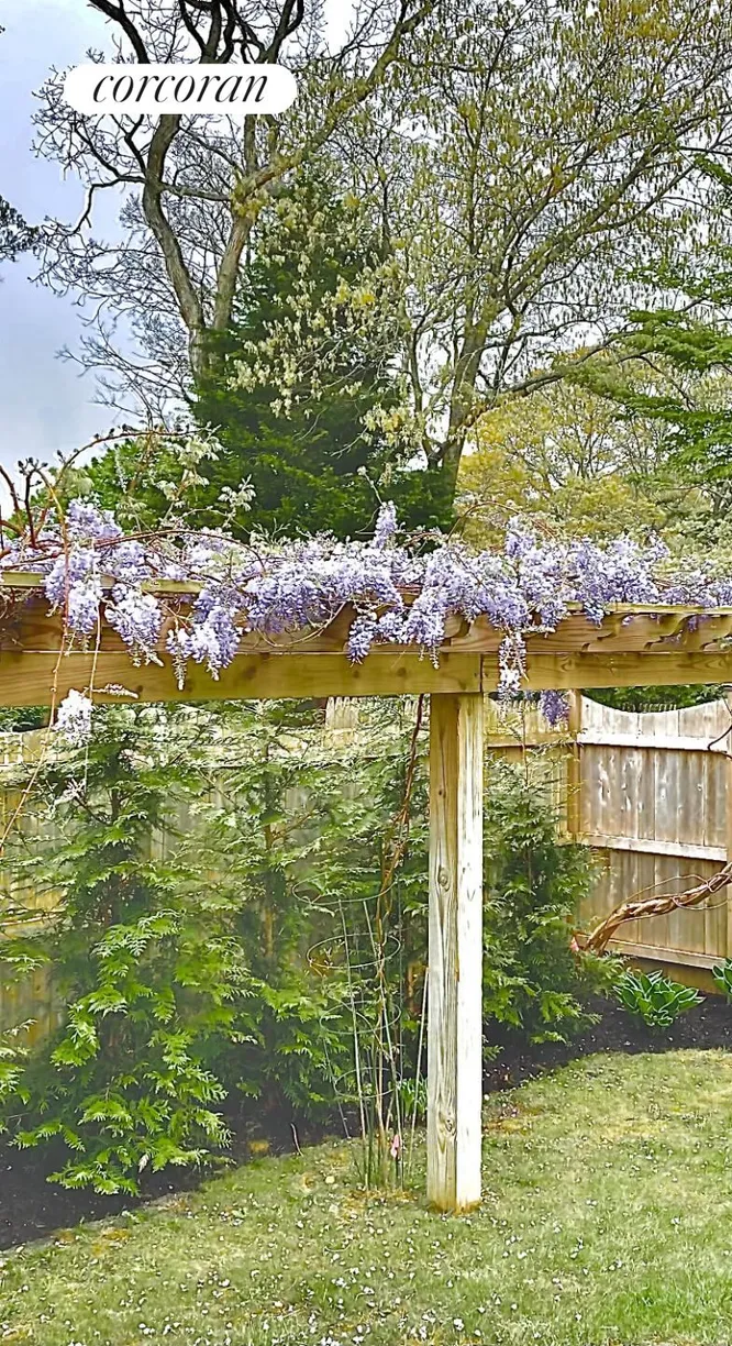 The Hamptons Real Estate | View 3 Crestview Drive | Wisteria Pergola in Season (no permit) | View 17