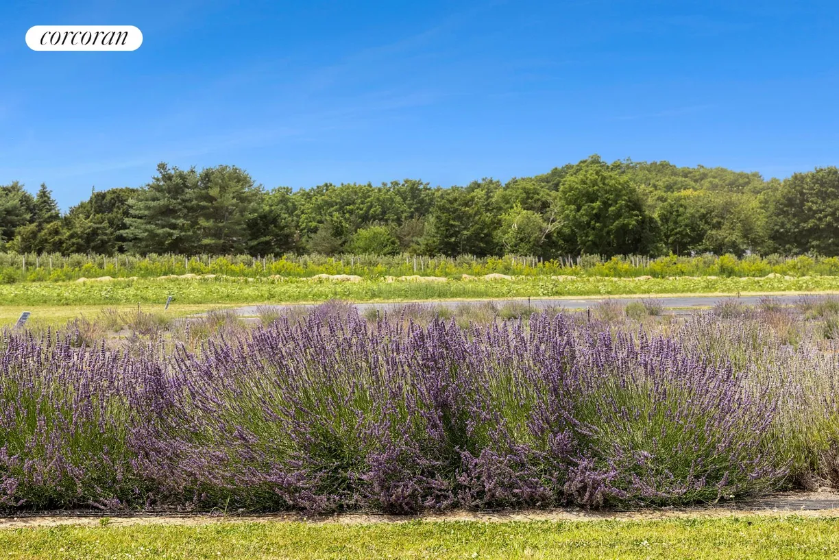 The Hamptons Real Estate | View 3360 Sound Avenue | Lavender