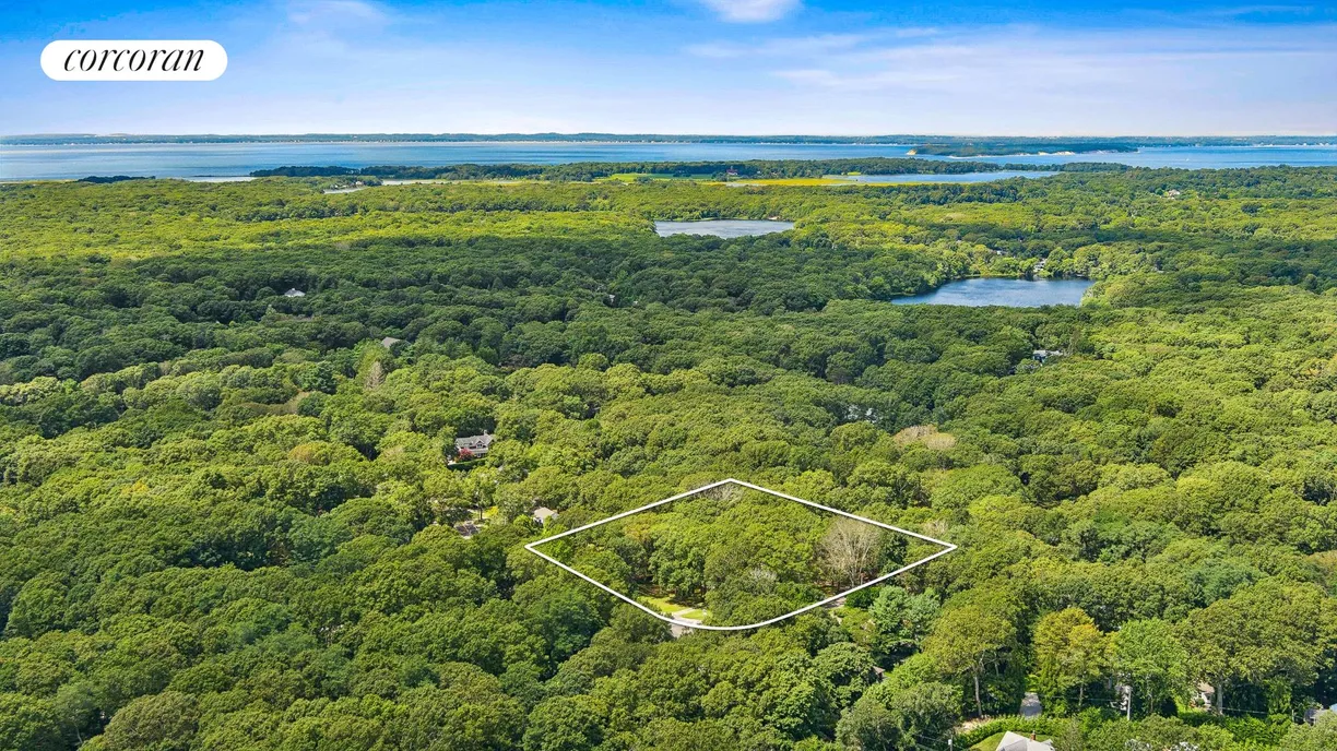 The Hamptons Real Estate | View 205 North Sea Mecox Road