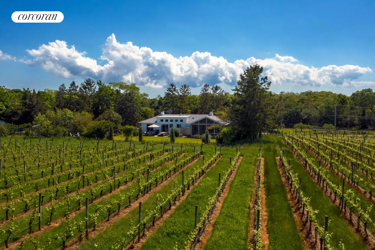 The Hamptons Real Estate | View 1100 Alvahs Lane | Privacy in the Vines