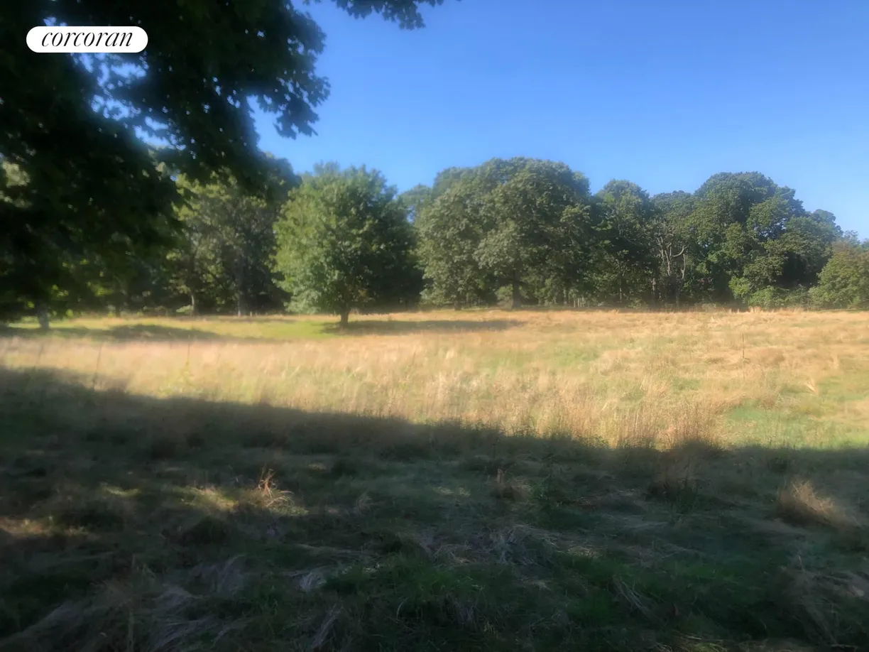 The Hamptons Real Estate | View 31 Manhanset Road | room 1