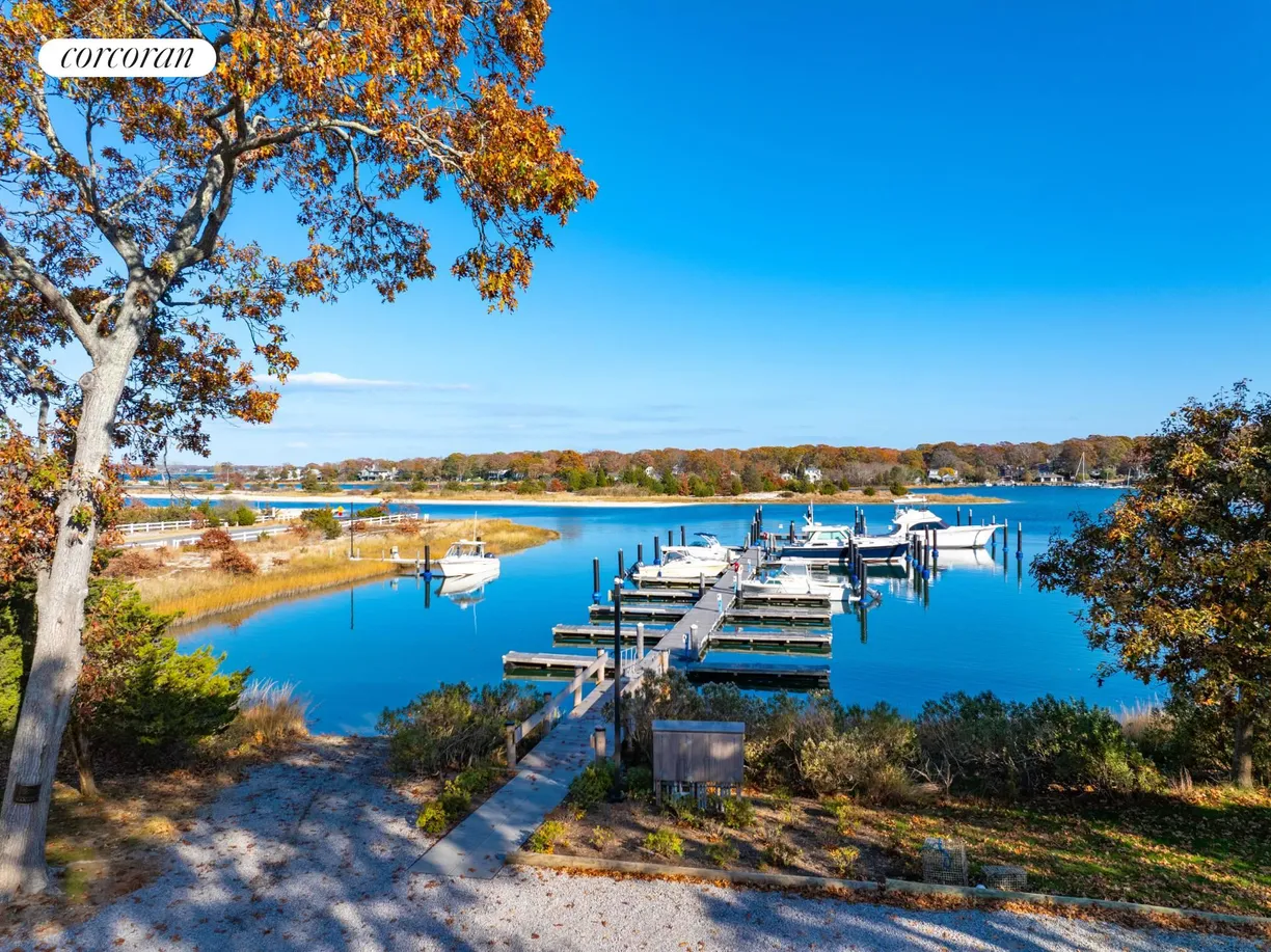 The Hamptons Real Estate | View 51 Beach Plum Road | room 2