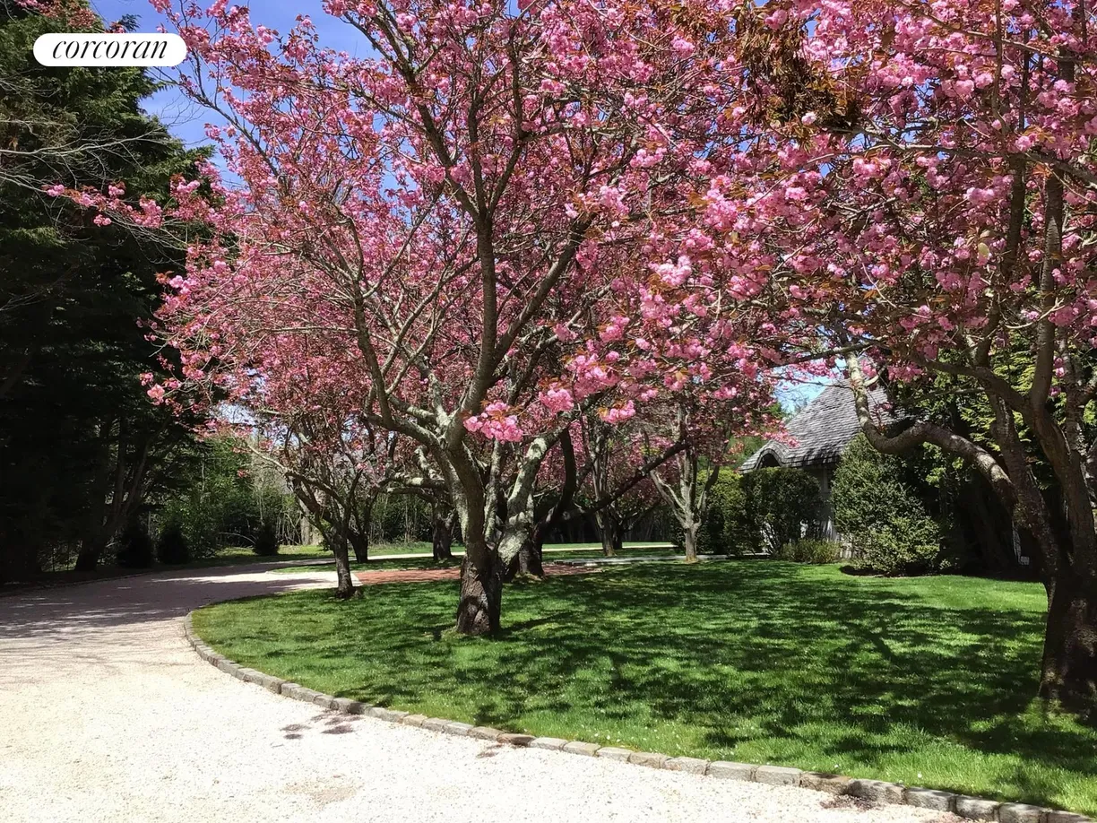 The Hamptons Real Estate | View 42 St Mary's Lane | room 1