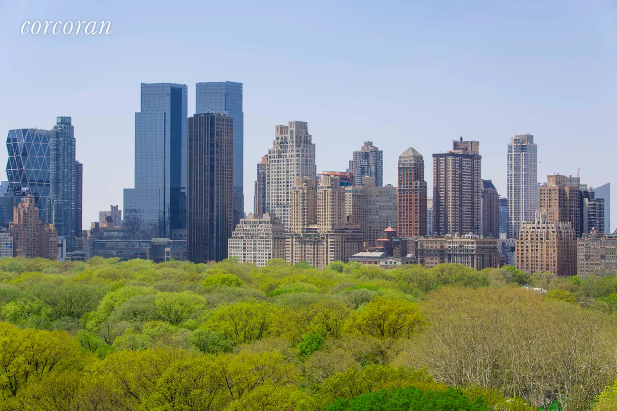 New York City Real Estate | View 910 Fifth Avenue, 15B | View