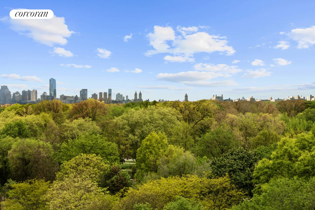 New York City Real Estate | View 955 Fifth Avenue, 9AB | View