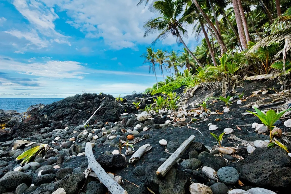 Hawaii Real Estate | View OLD GOVERNMENT RD | room 14 | View 15