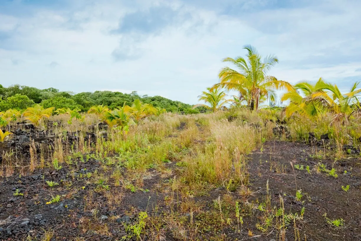 Hawaii Real Estate | View OLD GOVERNMENT RD | room 3 | View 4