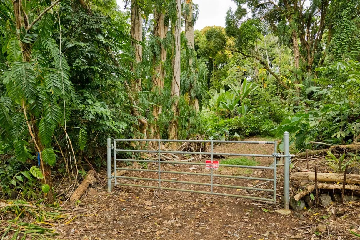 Hawaii Real Estate | View OLD GOVERNMENT RD | room 2