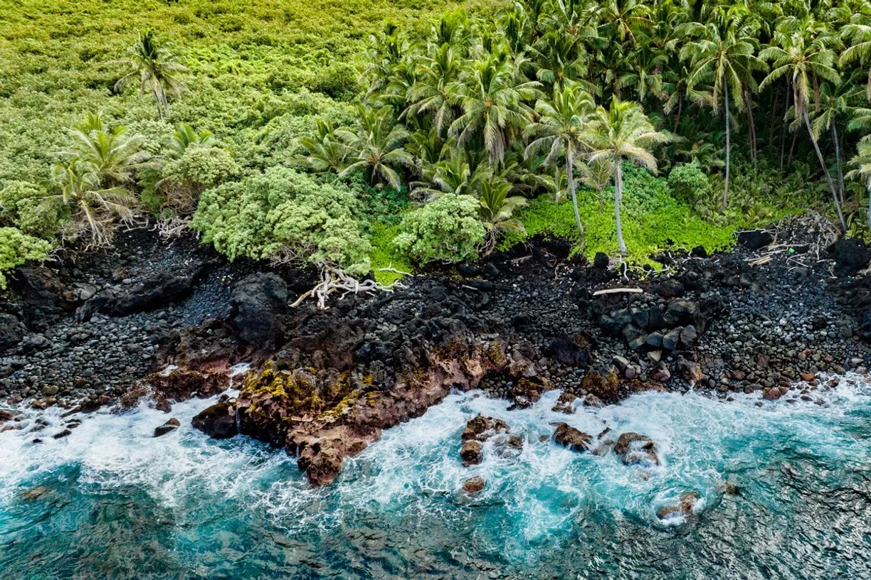 Hawaii Real Estate | View OLD GOVERNMENT RD | room 16 | View 17