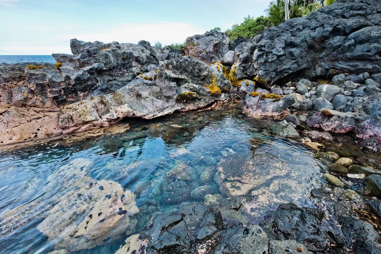 Hawaii Real Estate | View OLD GOVERNMENT RD | room 11 | View 12