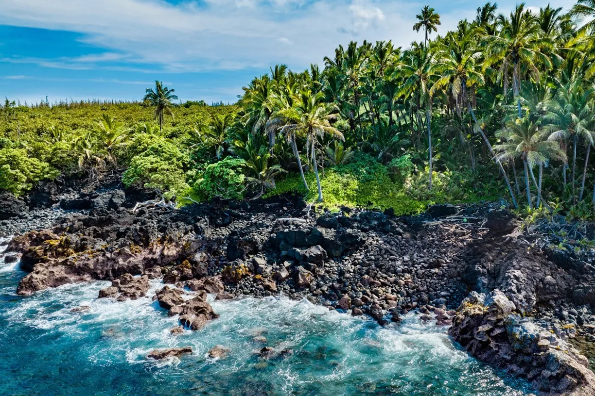 Hawaii Real Estate | View OLD GOVERNMENT RD | room 24 | View 25