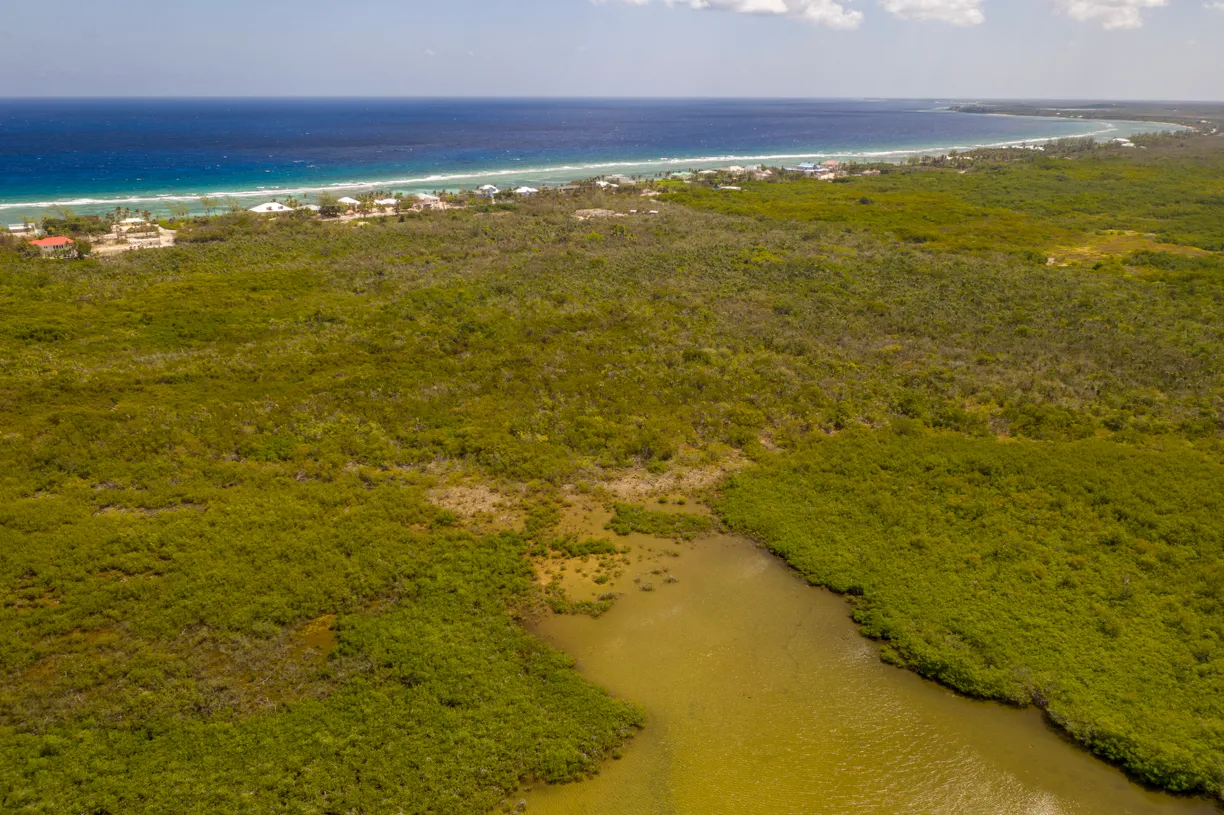 Cayman Islands Real Estate | View Rum Point - 80 Acres Development Parcel | Rum Point land lot - Photograph #5