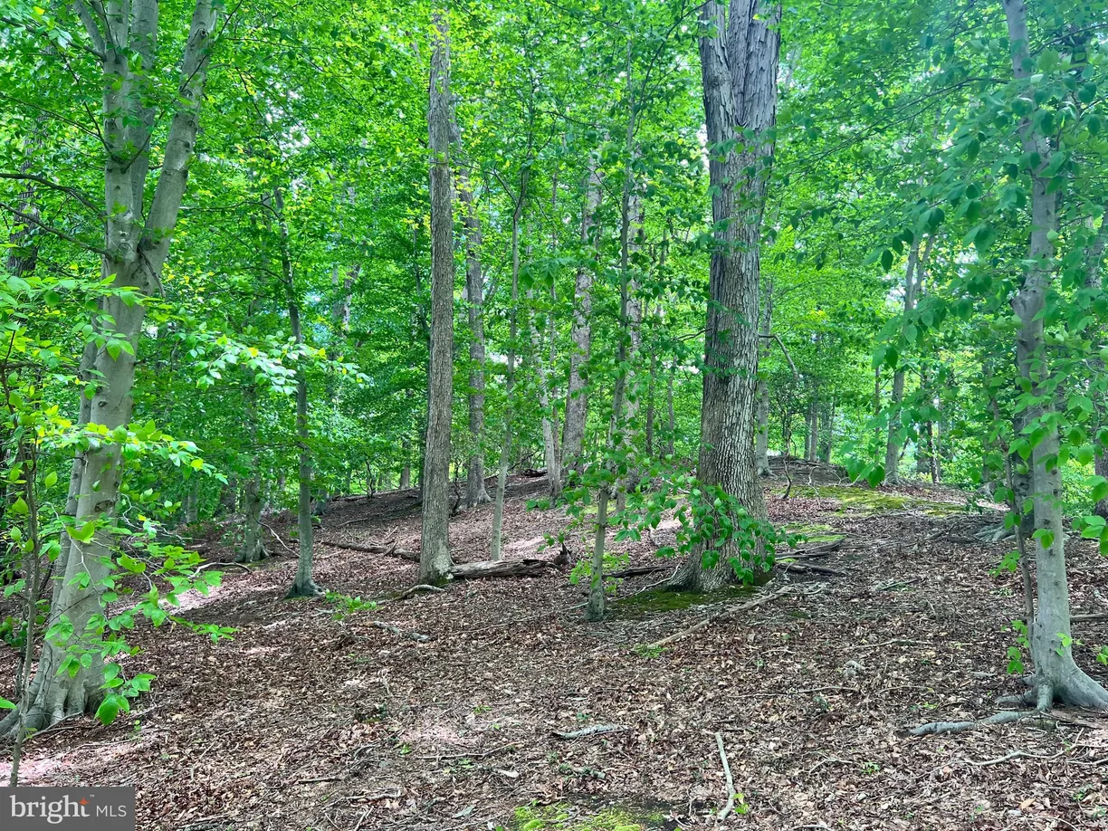 Washington Metro Area Real Estate | View Old Colchester Rd | room 2
