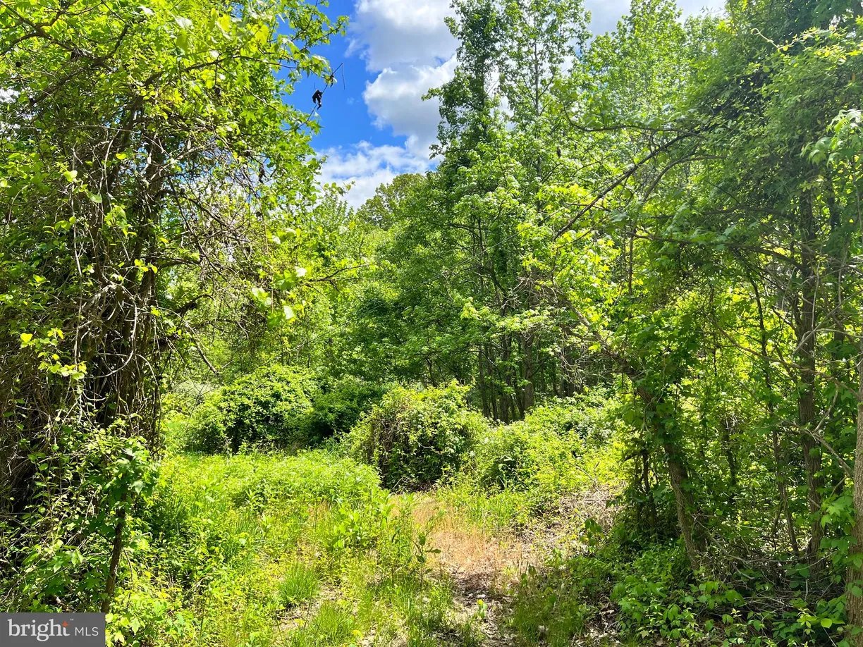 Washington Metro Area Real Estate | View Old Colchester Rd | room 1