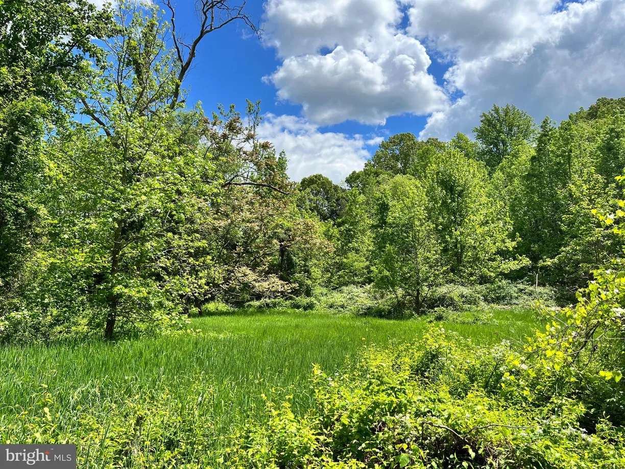 Washington Metro Area Real Estate | View Old Colchester Rd