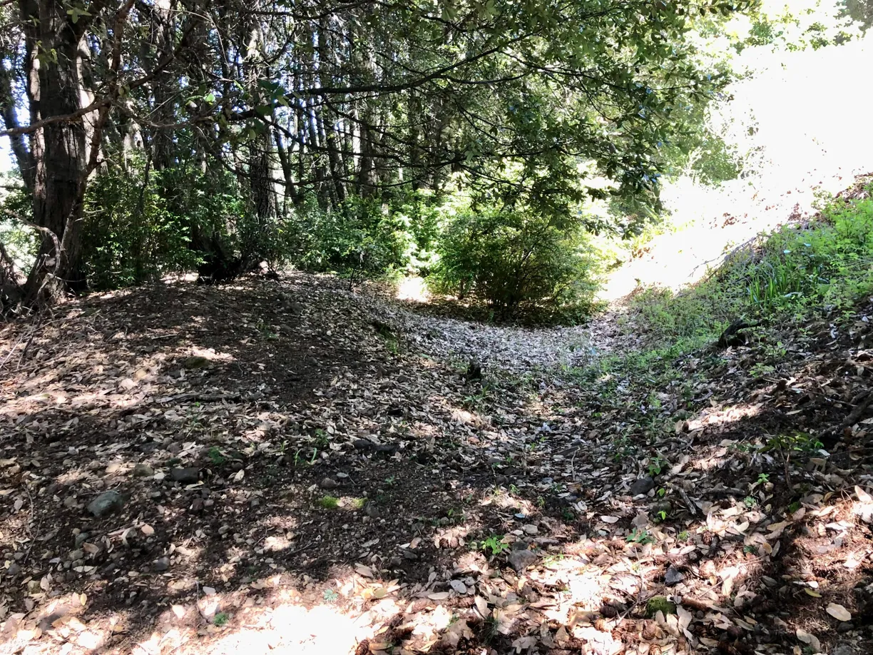 Northern California Real Estate | View 000 Telegraph Creek Road | room 2