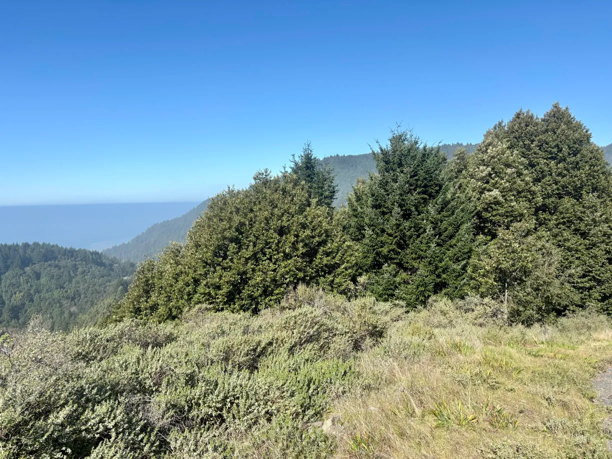 Northern California Real Estate | View 000 Telegraph Creek Road | room 1
