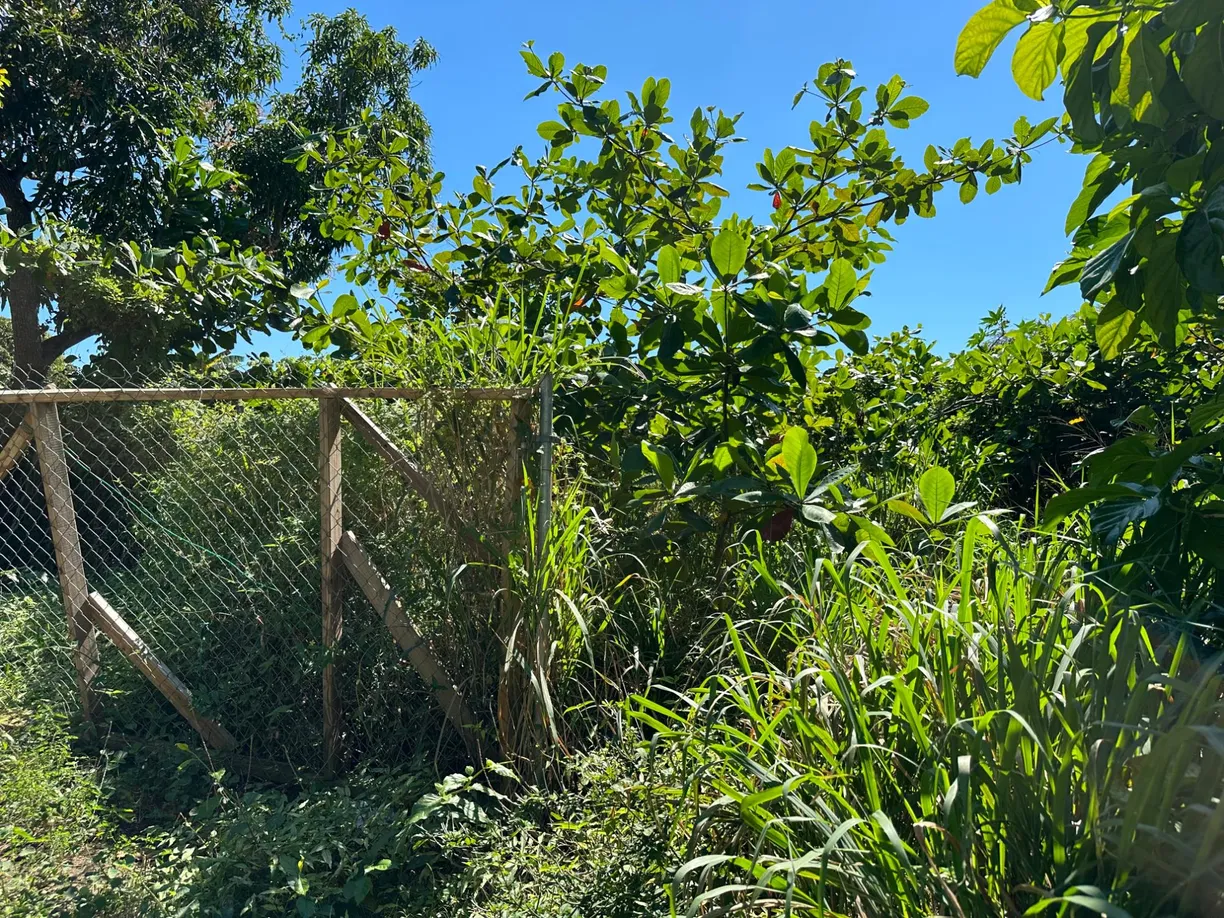 Bahamas Real Estate | View Fox Hill #Lot 1 | room 1
