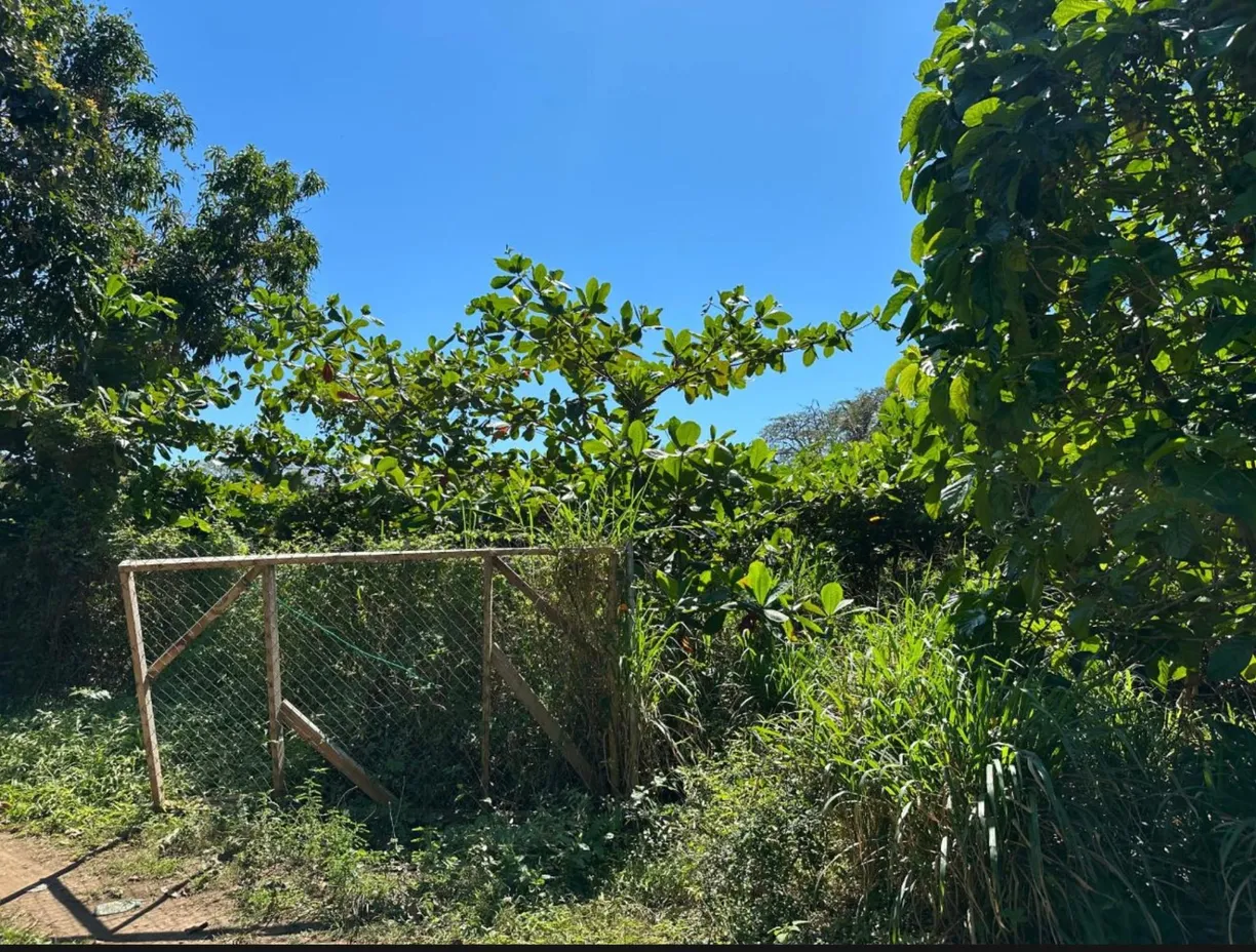 Bahamas Real Estate | View Fox Hill #Lot 1 | room 2
