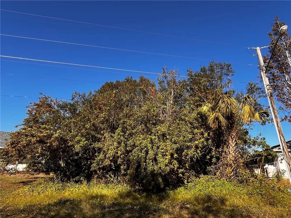 Central Florida Real Estate | View 333 Clermont Drive | room 1