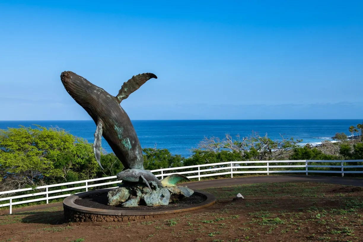Hawaii Real Estate | View 56-2926 PUAKEA BAY DR | room 5 | View 6