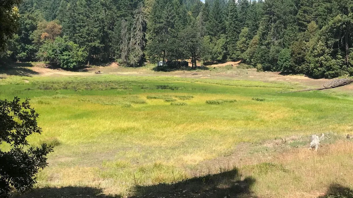 Northern California Real Estate | View 1780 Mcdonald Creek Road | room 2