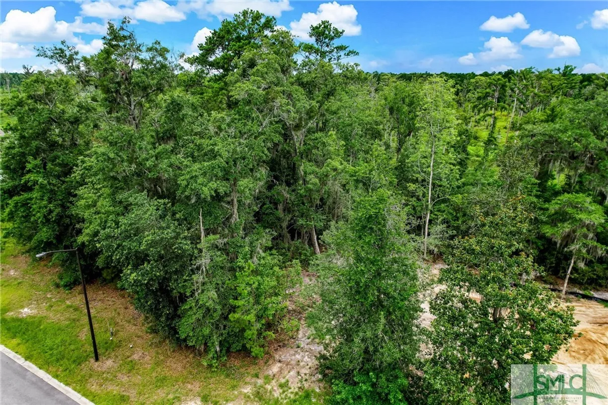 Savannah Real Estate | View 7 Linden Hill Court | View 1