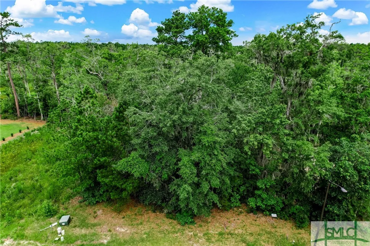 Savannah Real Estate | View 7 Linden Hill Court | room 7 | View 8