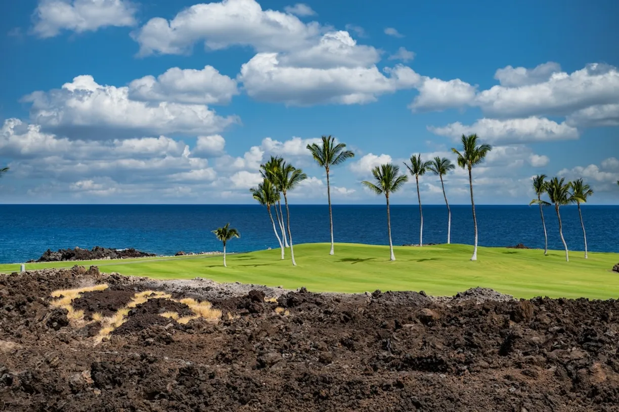 Hawaii Real Estate | View 68-1050 MAUNA LANI POINT, #B202 | room 2