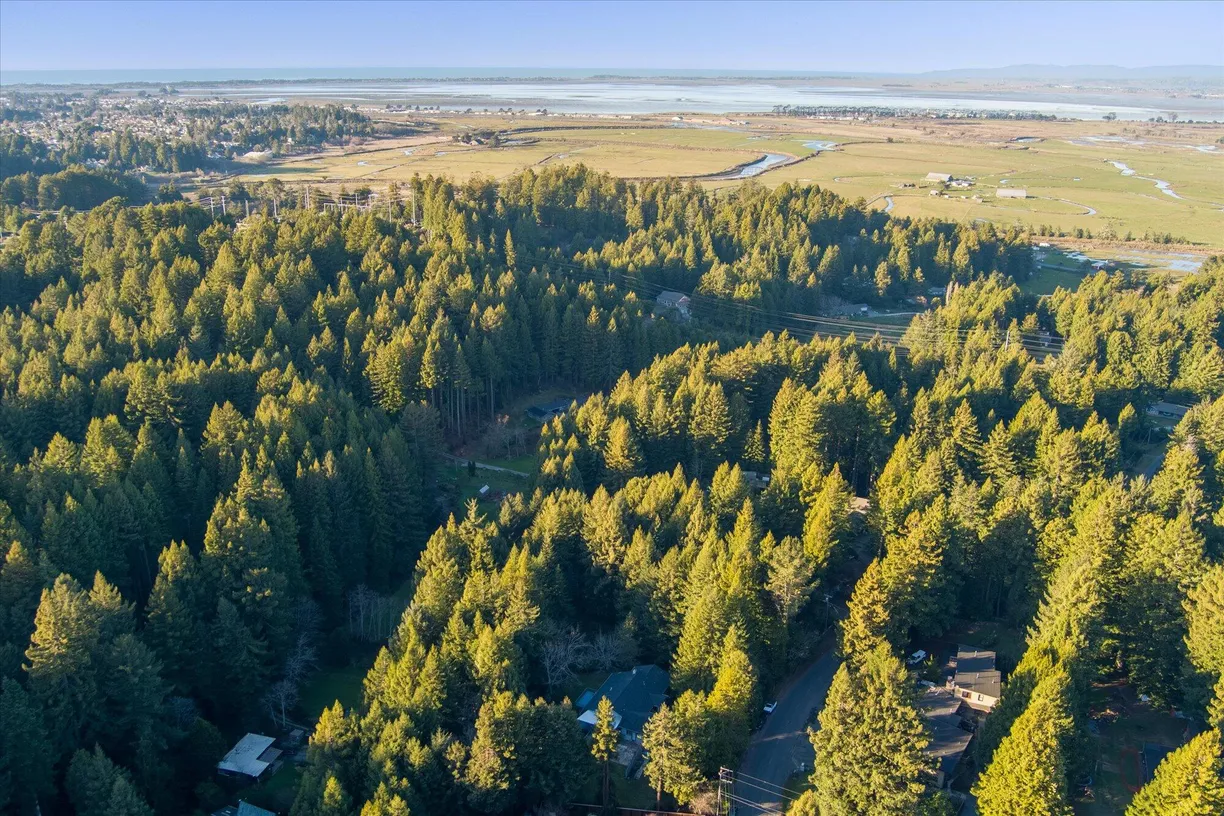 Northern California Real Estate | View 2894 Pigeon Point Road | room 1