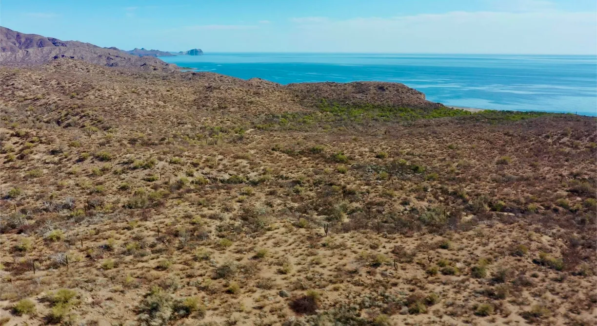 Los Cabos Real Estate | View Land at San Juanico Gulf | 3