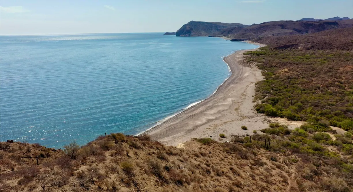 Los Cabos Real Estate | View Land at San Juanico Gulf