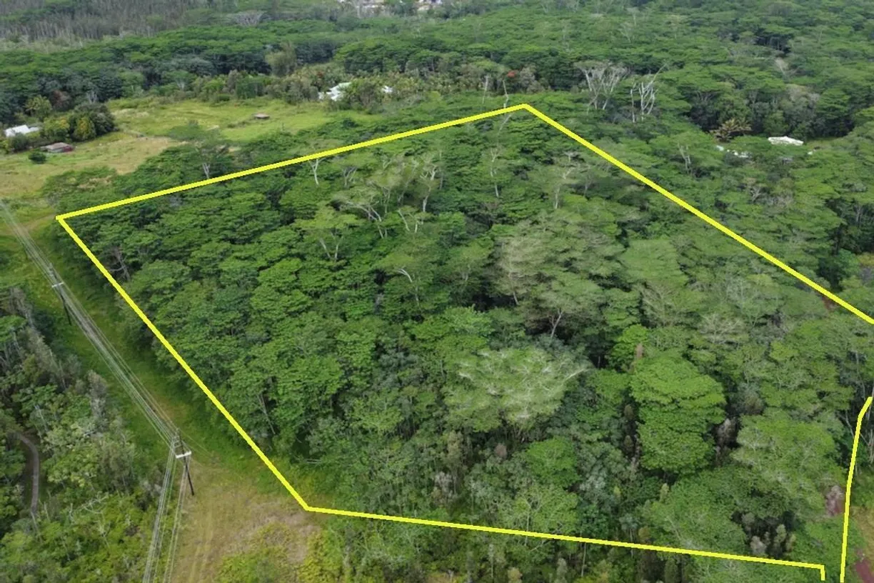 Hawaii Real Estate | View KAPOHO RD