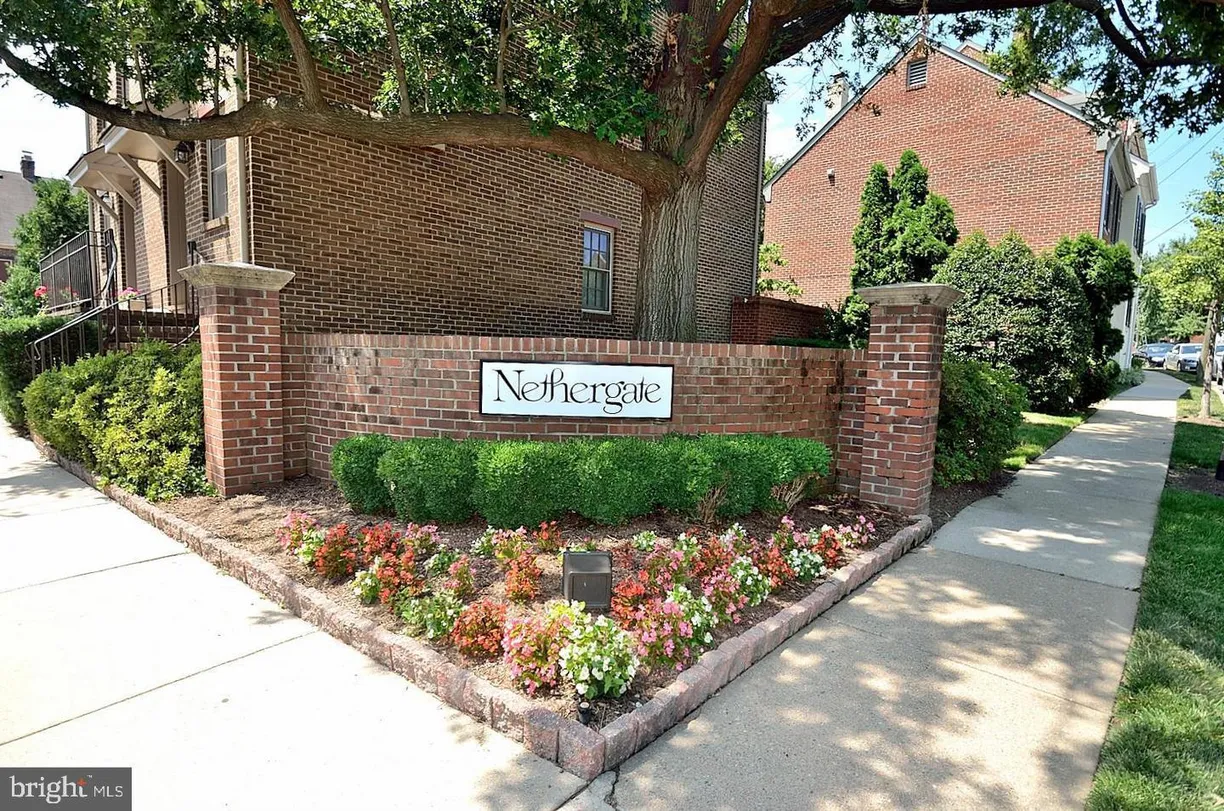 Washington Metro Area Real Estate | View 1113 Michigan Court | room 2