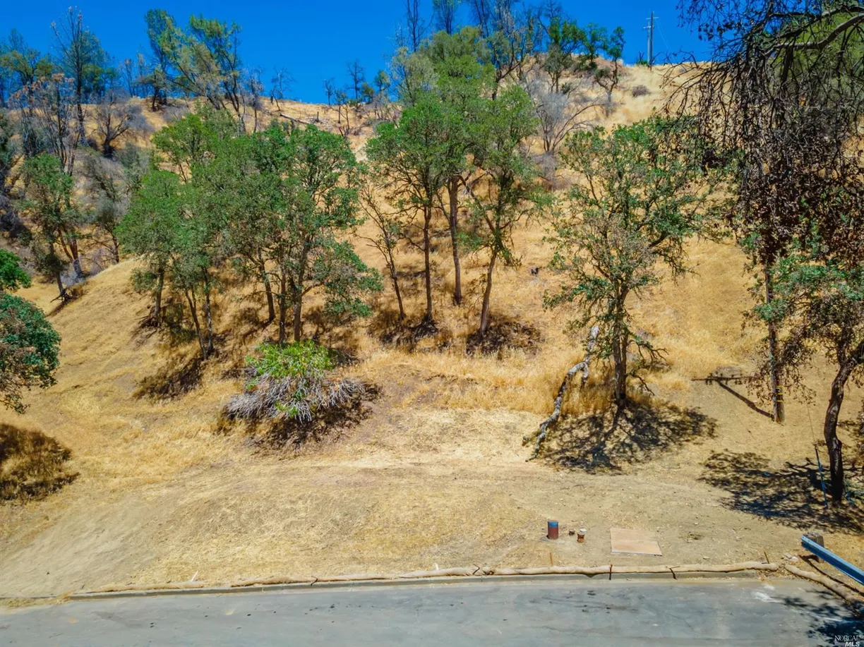 Northern California Real Estate | View 1102 Arroyo Grande Drive | room 3 | View 4