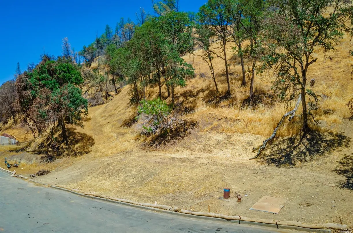 Northern California Real Estate | View 1102 Arroyo Grande Drive | View 1
