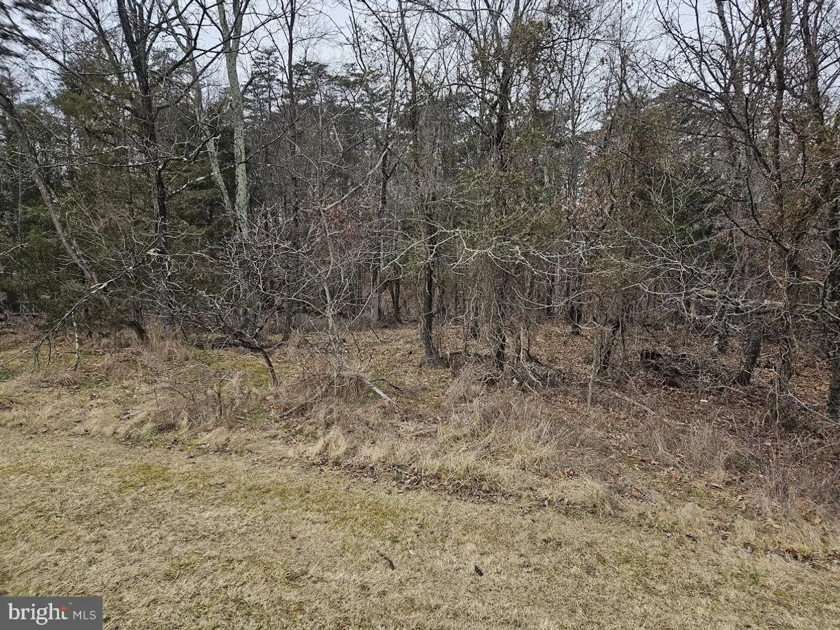 Washington Metro Area Real Estate | View Unknown | room 1
