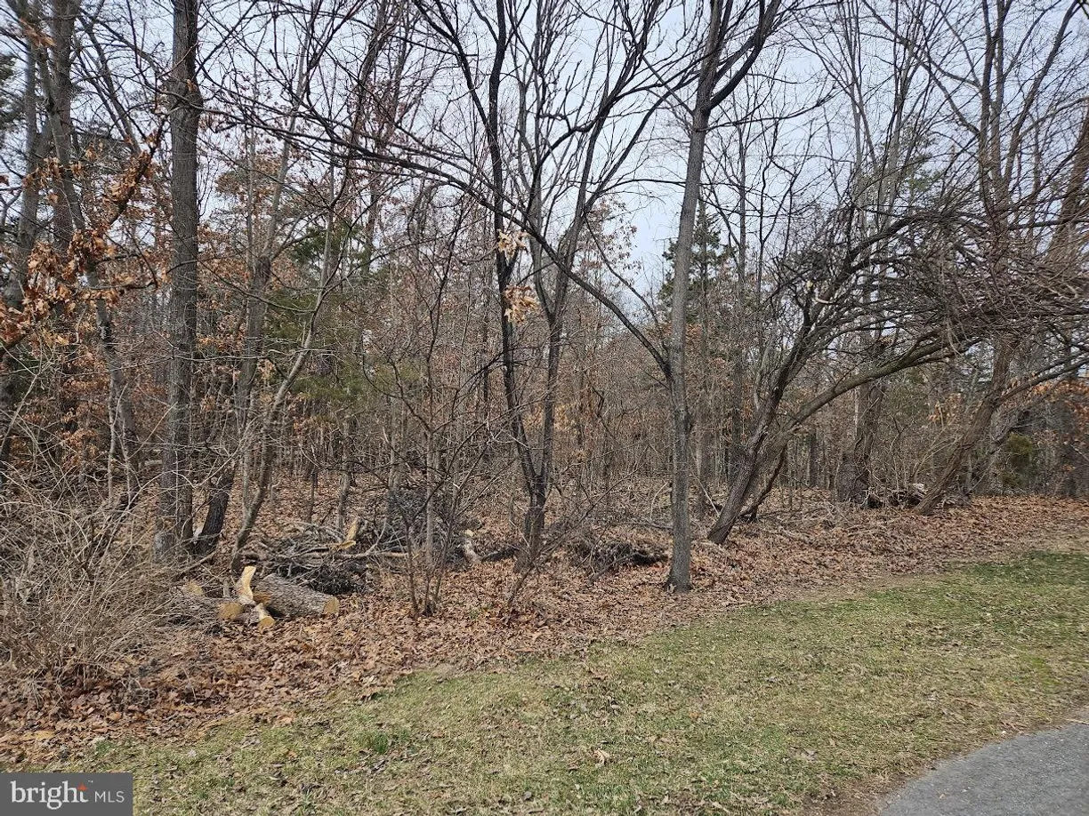 Washington Metro Area Real Estate | View Unknown