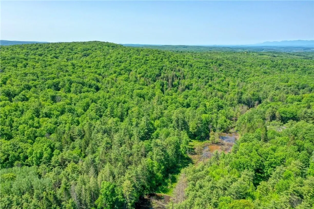 Hudson Valley Real Estate | View 48 Lundy Lane | room 1