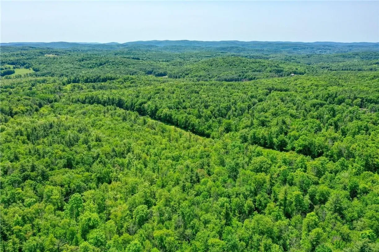 Hudson Valley Real Estate | View Wadsworth Hill Road | room 2